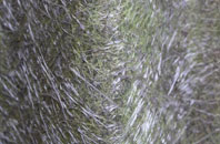 Cropwell Butler fibreglass roof work